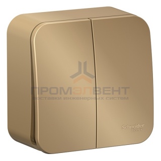 Выключатель 2-клавишный (cх.5) Blanca Schneider Electric 10А 250В титан изол.пластина