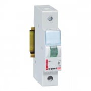 Индикатор модульный Legrand 250В зеленый